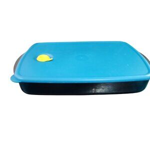 Tupperware Rock n Serve Large Shallow divided
